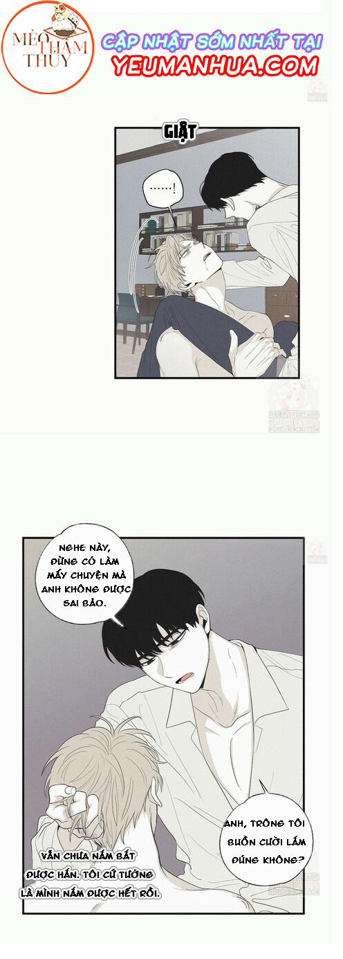 Chiếu Tướng 15 trang 14