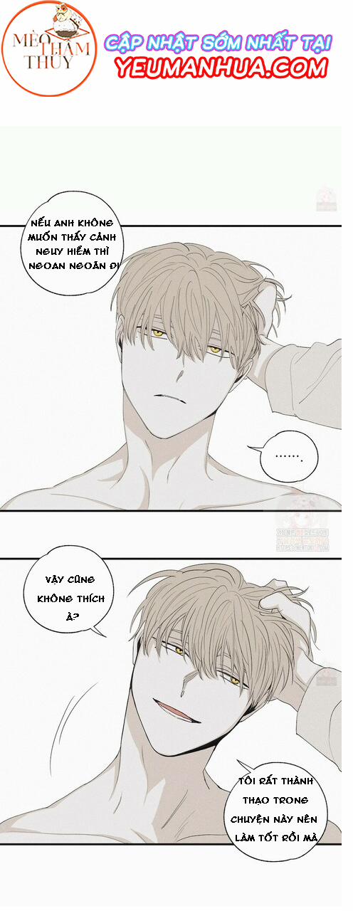 Chiếu Tướng 15 trang 15