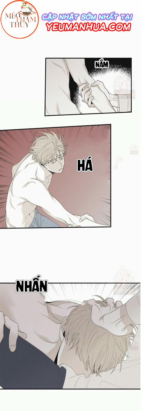 Chiếu Tướng 15 trang 3