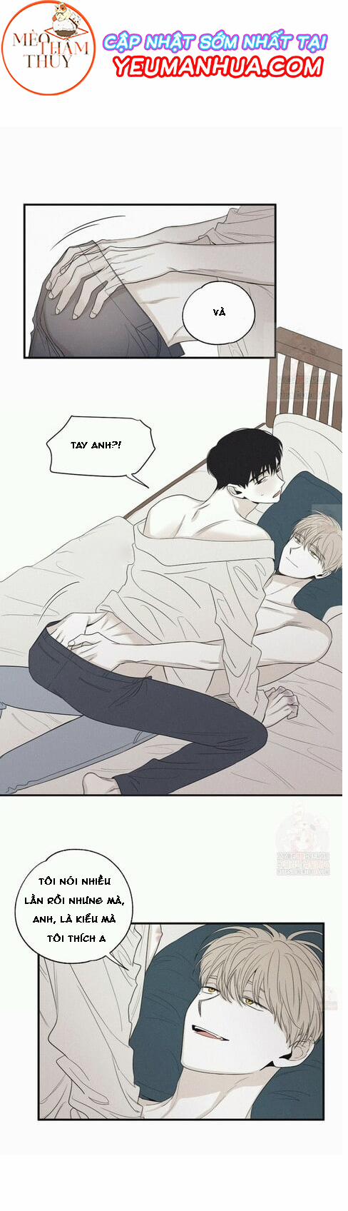 Chiếu Tướng 16 trang 17