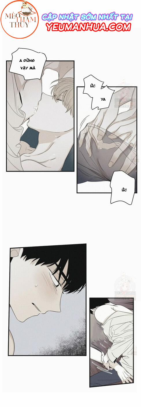 Chiếu Tướng 16 trang 18