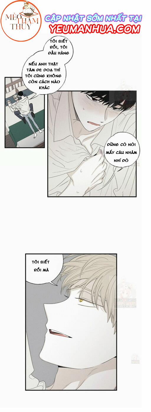 Chiếu Tướng 16 trang 20