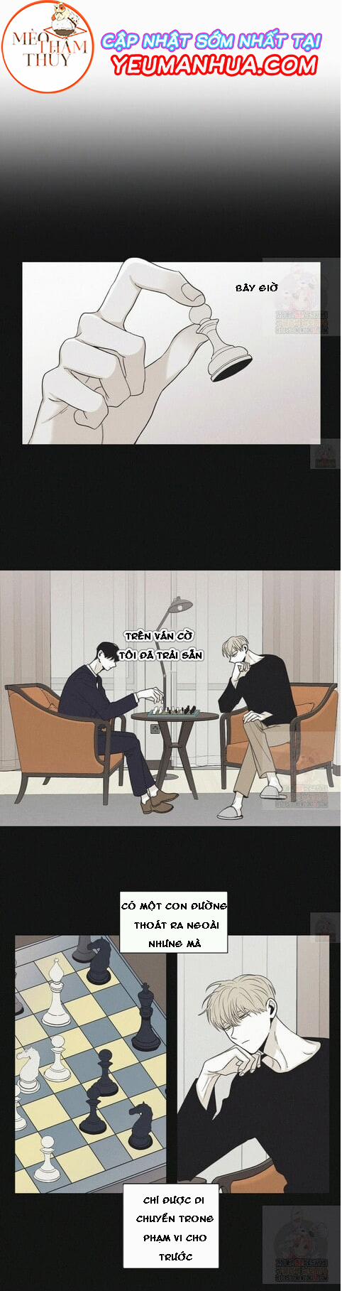 Chiếu Tướng 16 trang 5