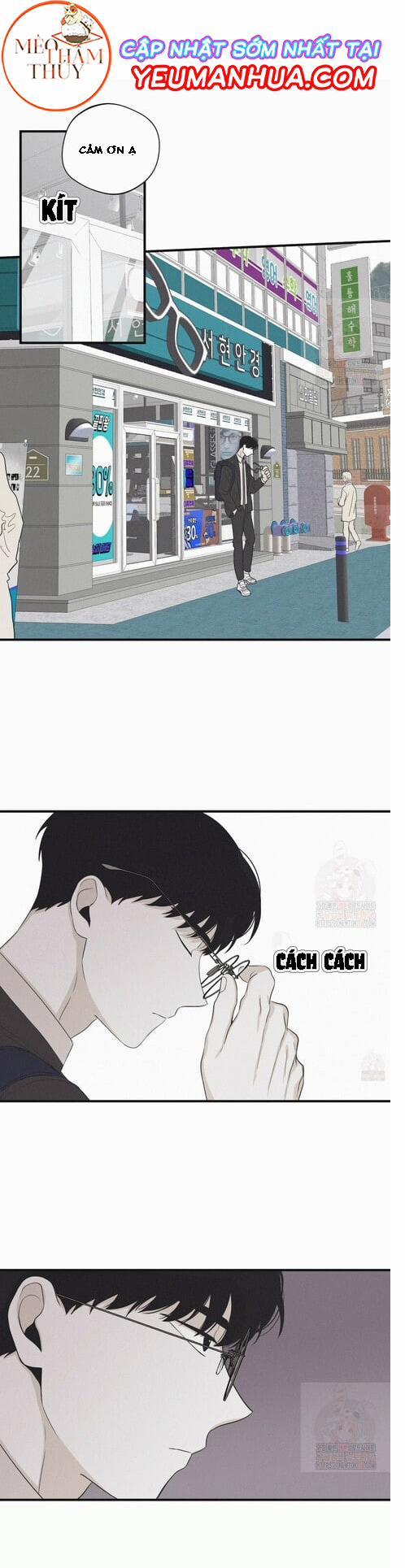 Chiếu Tướng 17 trang 5