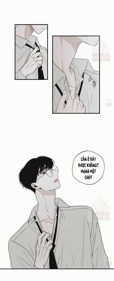 Chiếu Tướng 20 trang 28