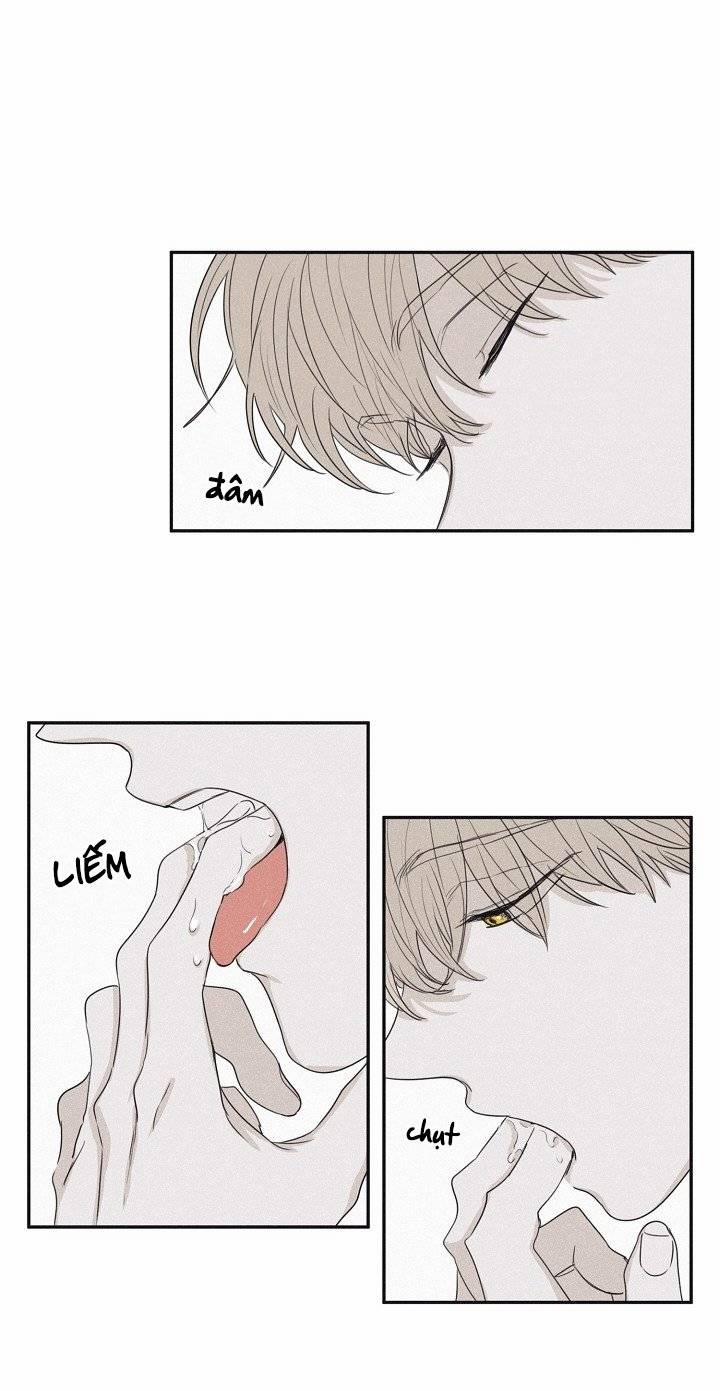 Chiếu Tướng 27 trang 21