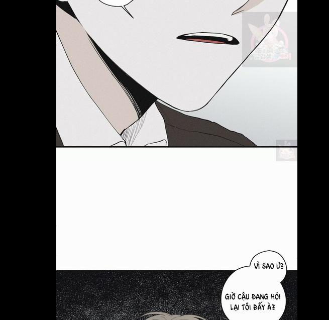 Chiếu Tướng 3 trang 46