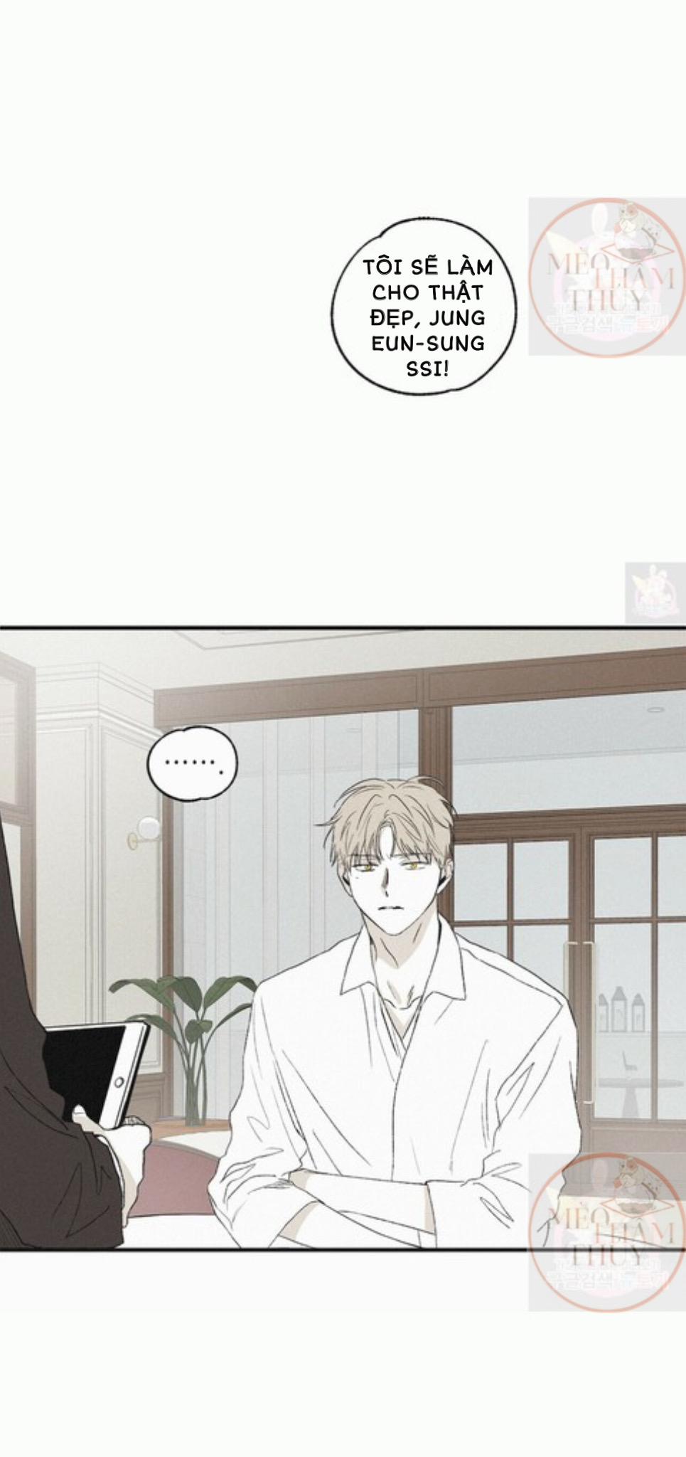 Chiếu Tướng 4 trang 0