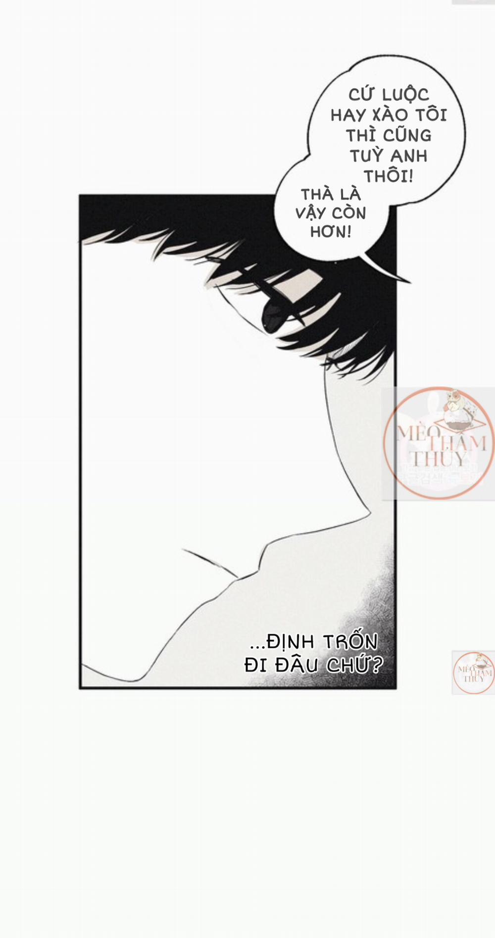 Chiếu Tướng 4 trang 11