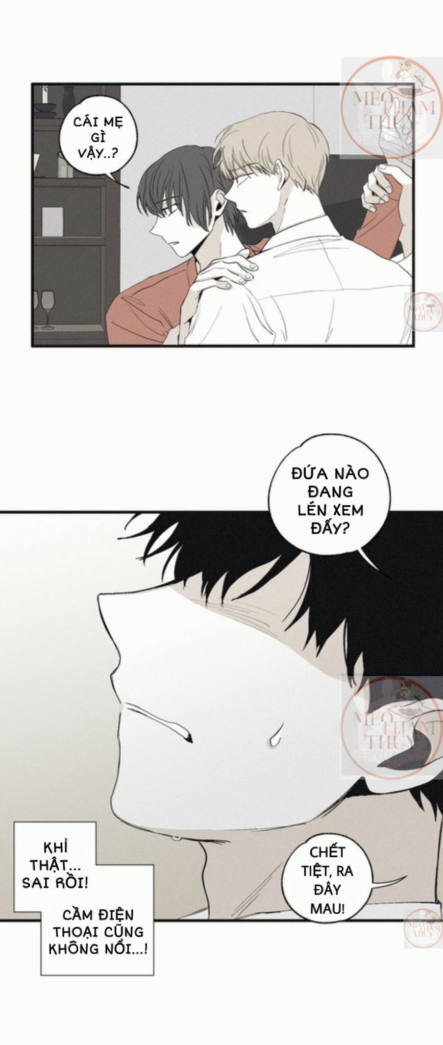 Chiếu Tướng 4 trang 29