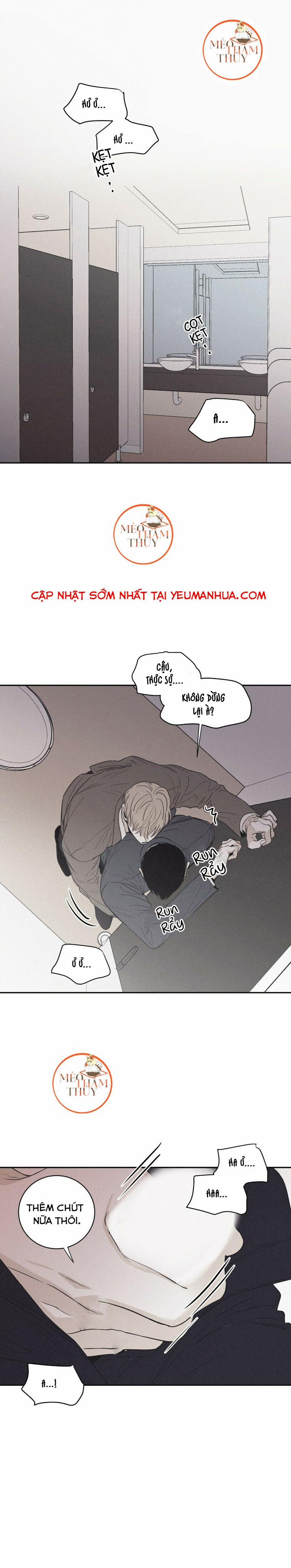 Chiếu Tướng 41 trang 15