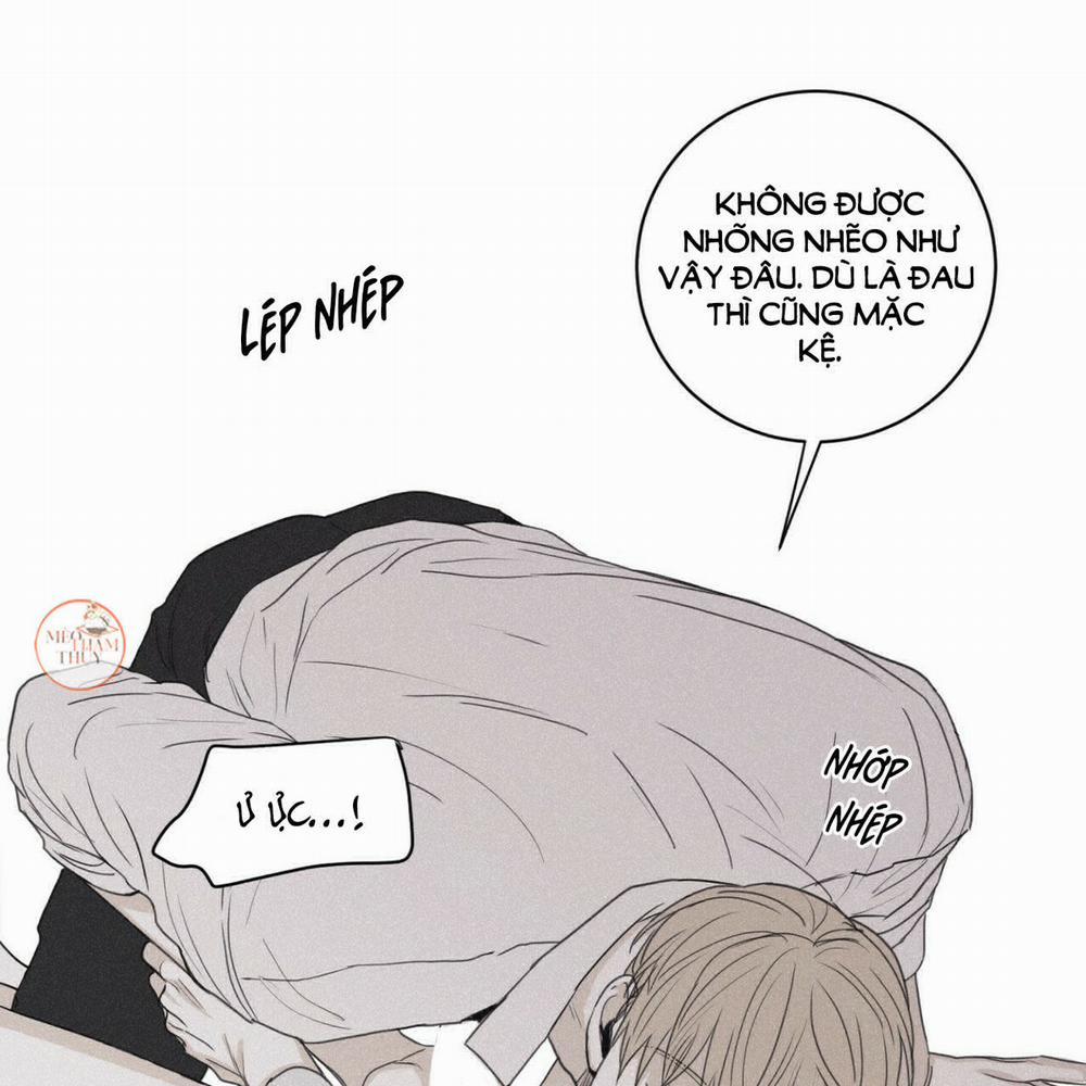 Chiếu Tướng 43 trang 28