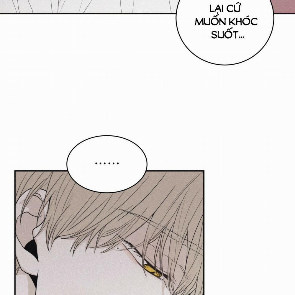 Chiếu Tướng 43 trang 46