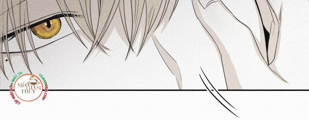 Chiếu Tướng 44 trang 35