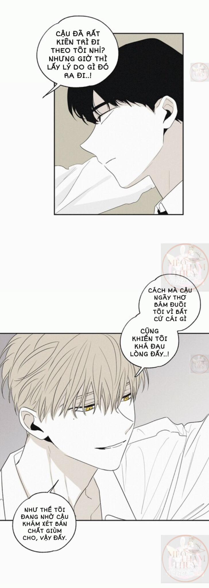 Chiếu Tướng 5 trang 15