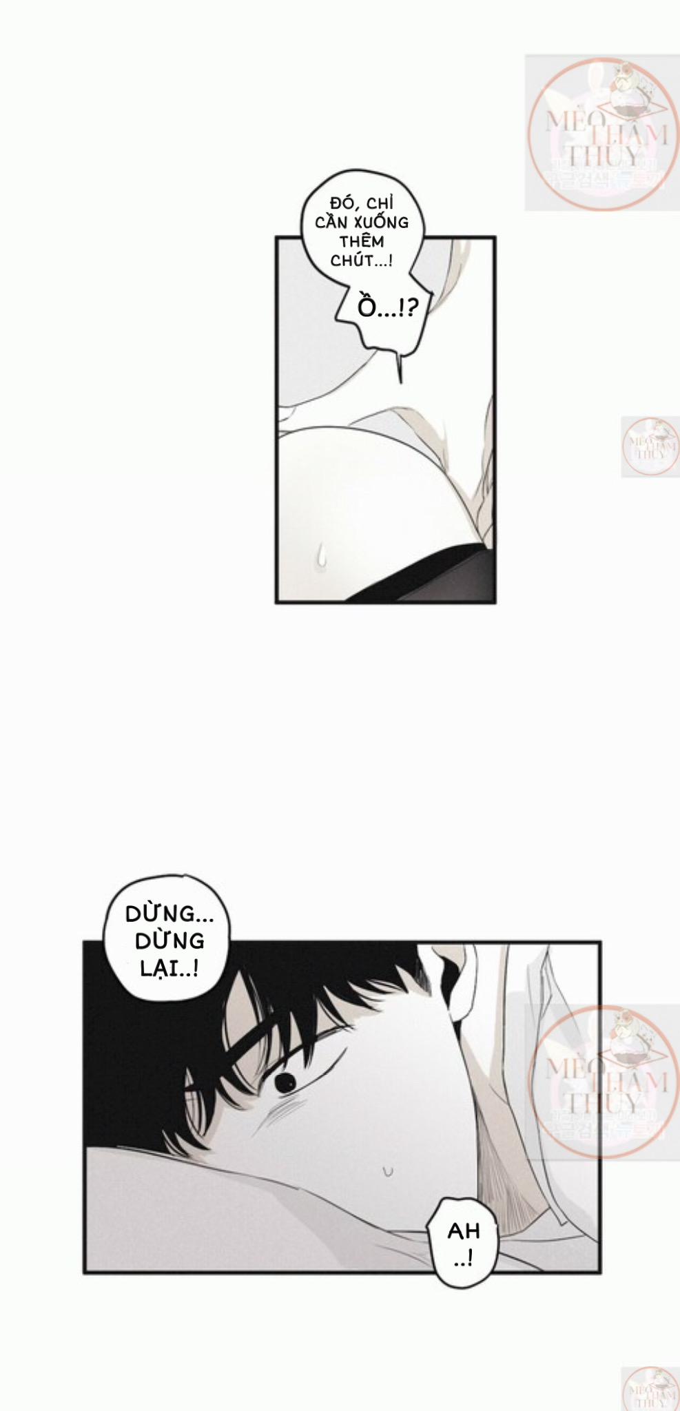 Chiếu Tướng 5 trang 26