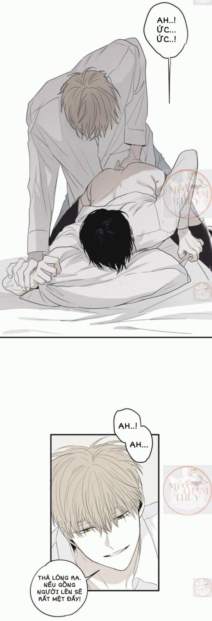 Chiếu Tướng 5 trang 27