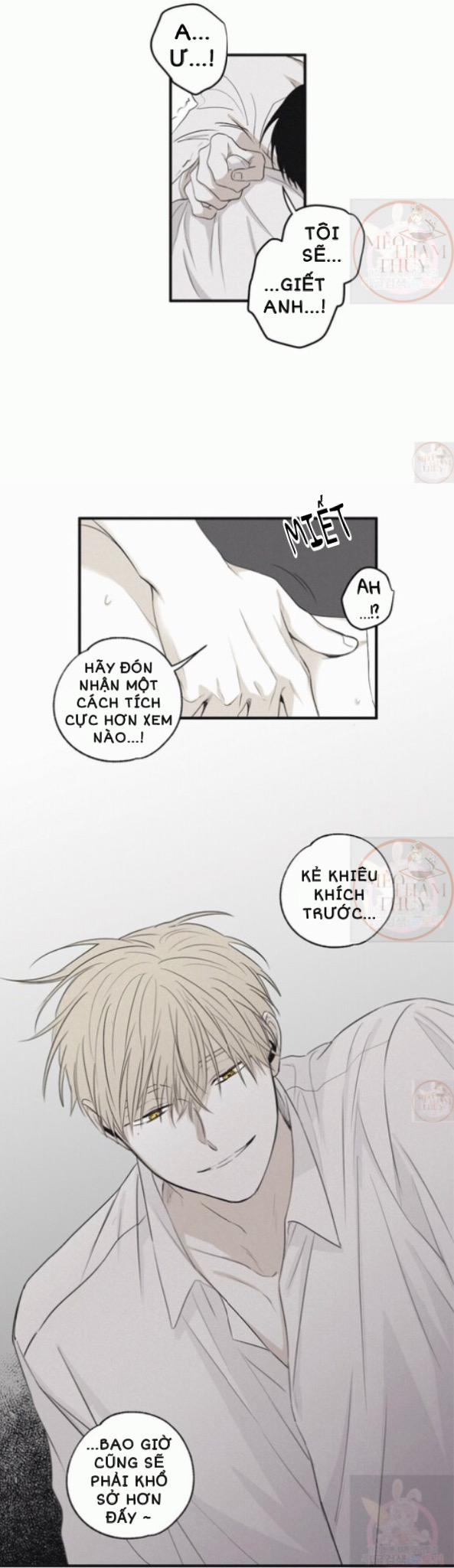 Chiếu Tướng 5 trang 28