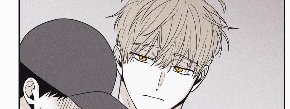 Chiếu Tướng 54.1 trang 42