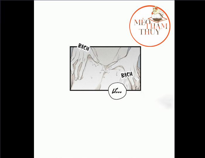 Chiếu Tướng 6 trang 0