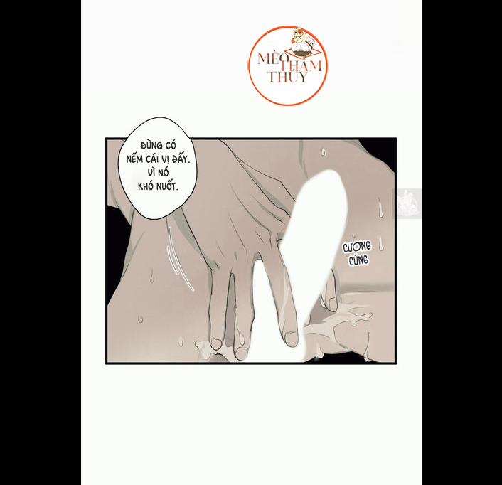 Chiếu Tướng 6 trang 16