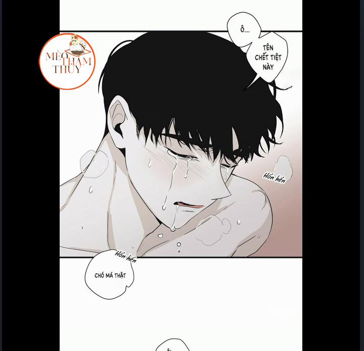 Chiếu Tướng 6 trang 17