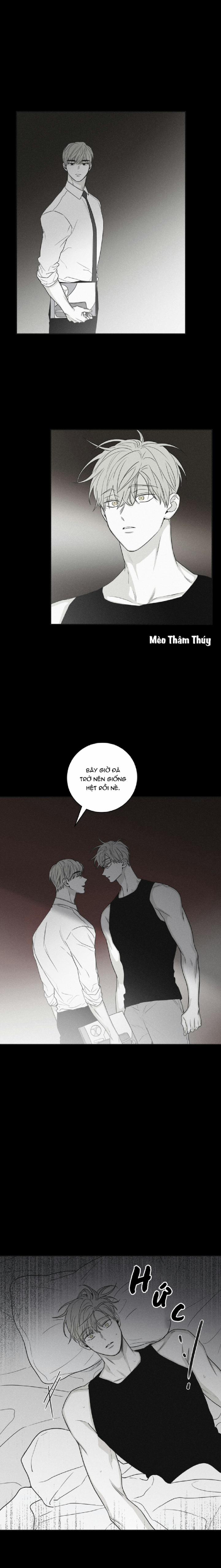 Chiếu Tướng 67 trang 19