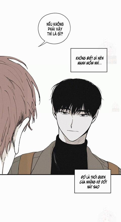 Chiếu Tướng 8 trang 20