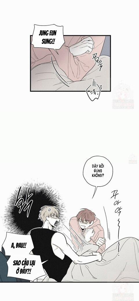 Chiếu Tướng 8 trang 3