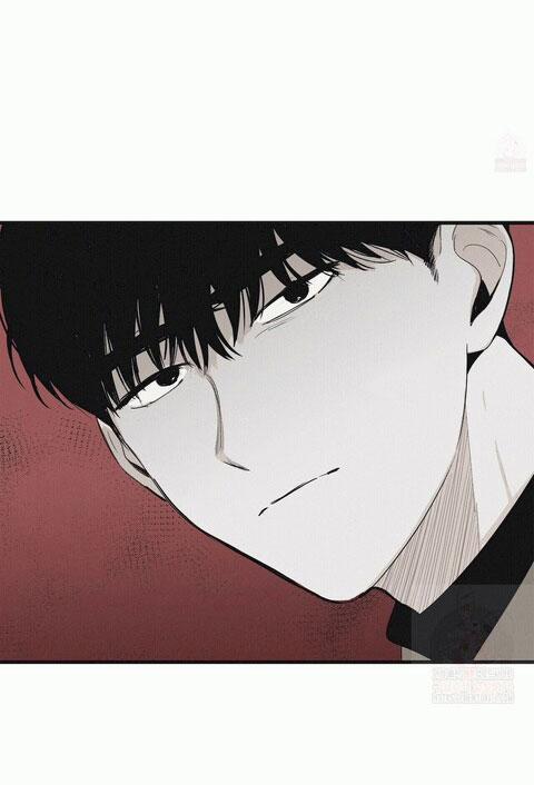 Chiếu Tướng 8 trang 36