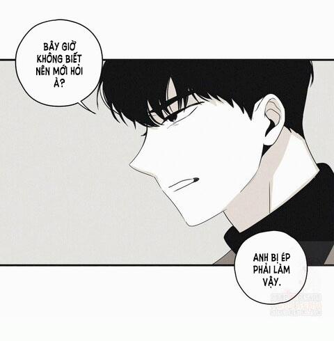 Chiếu Tướng 8 trang 41