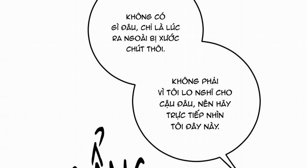 Chiếu Tướng 91 trang 181