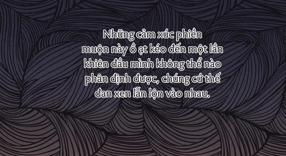 Chiếu Tướng 92 trang 14