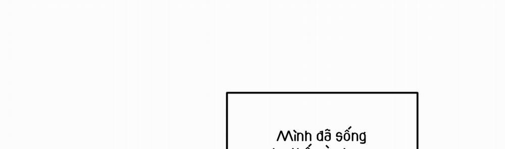 Chiếu Tướng 97 trang 171