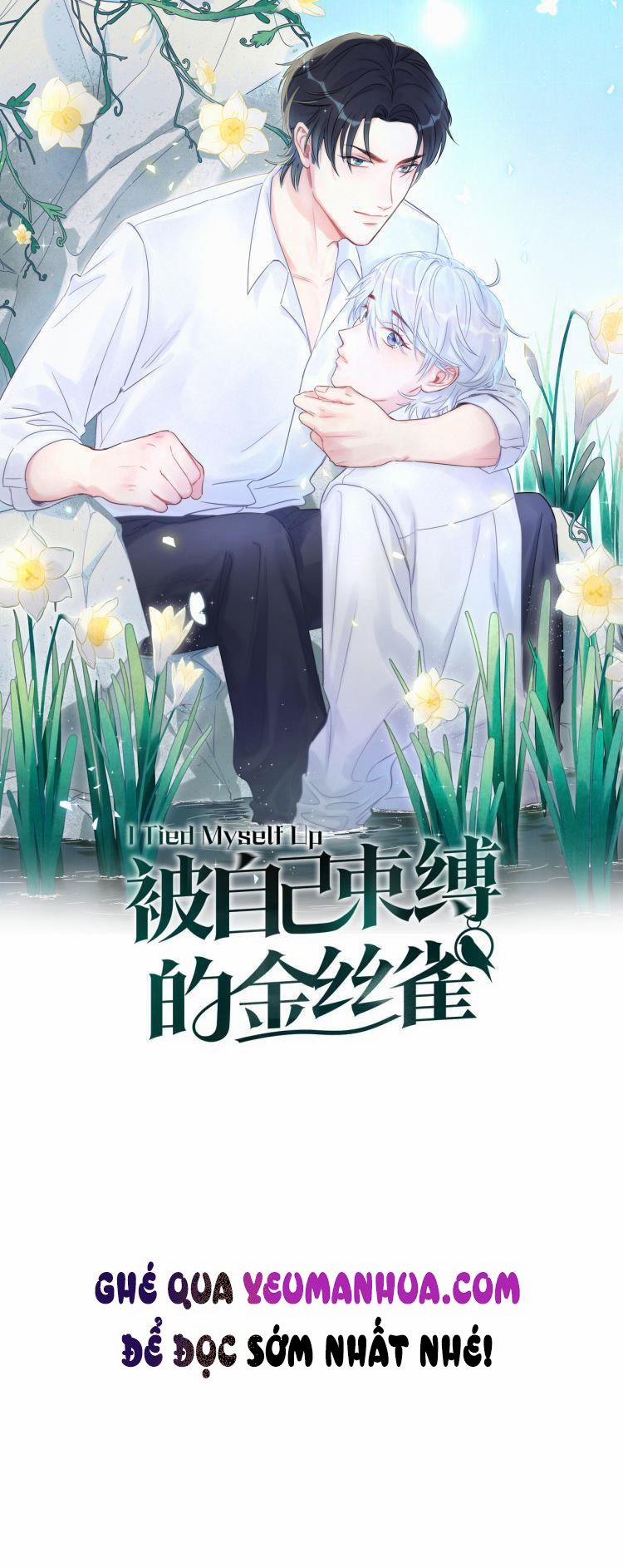 Chim Hoàng Yến Bị Chính Mình Trói Buộc 11 trang 0