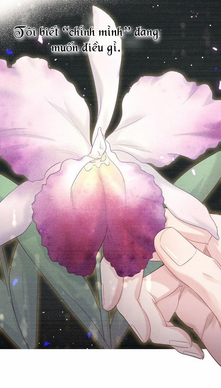 Chim Hoàng Yến Bị Chính Mình Trói Buộc 2 trang 13