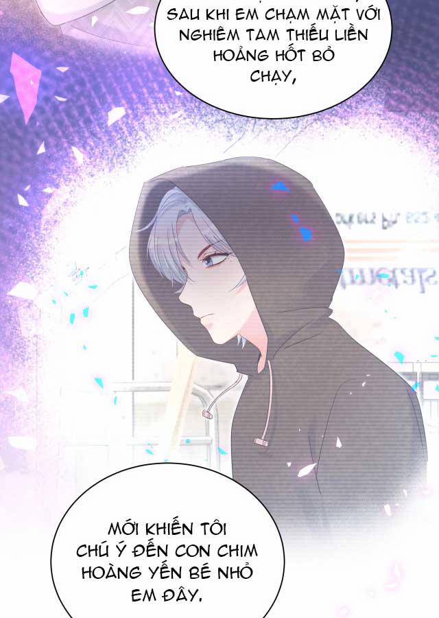 Chim Hoàng Yến Bị Chính Mình Trói Buộc 97 trang 7