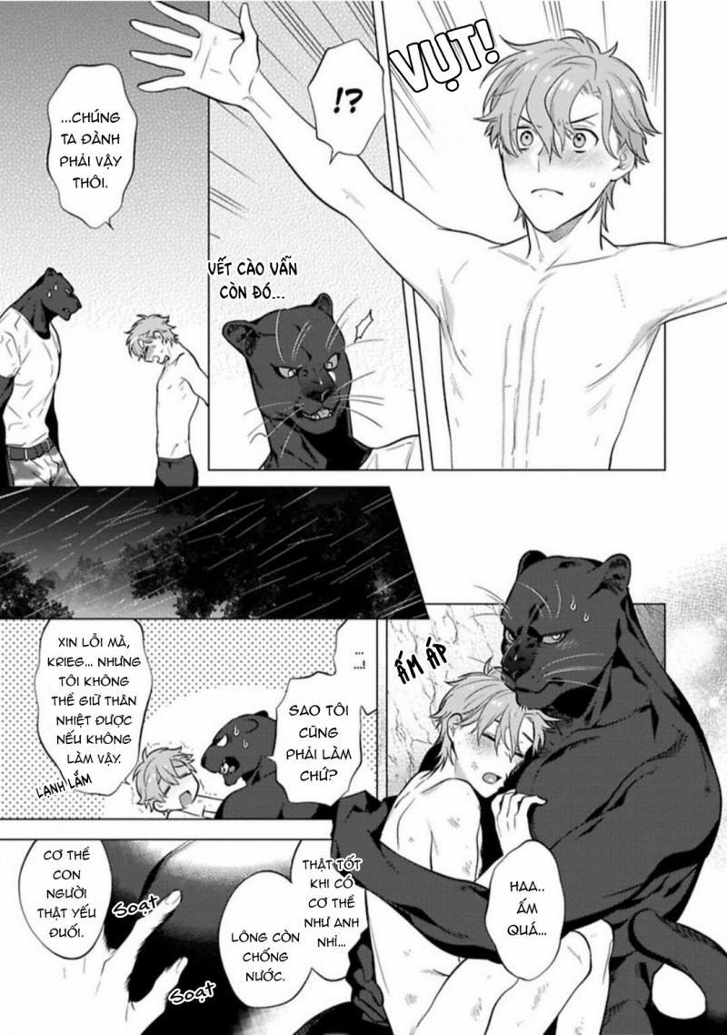 Chờ Bình Minh Lên Trong Vòng Tay Của Quái Thú 3.2 trang 0