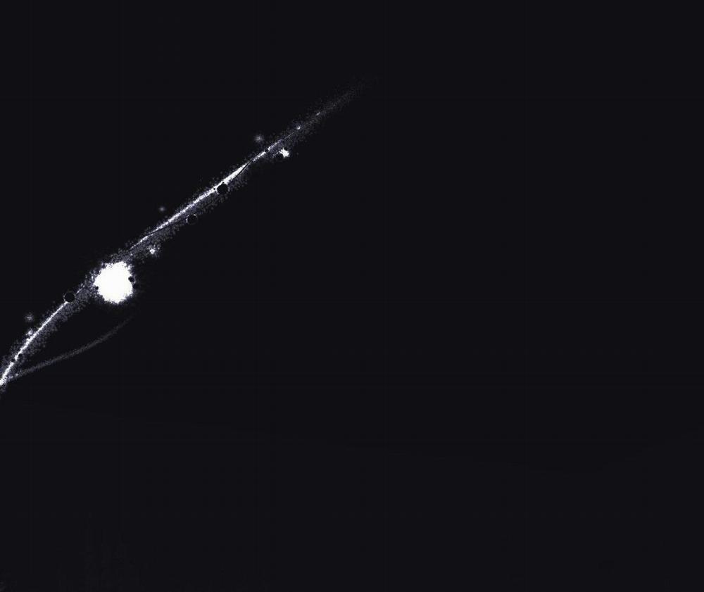 Chờ Chút! Đừng Di Chuyển 1 trang 10