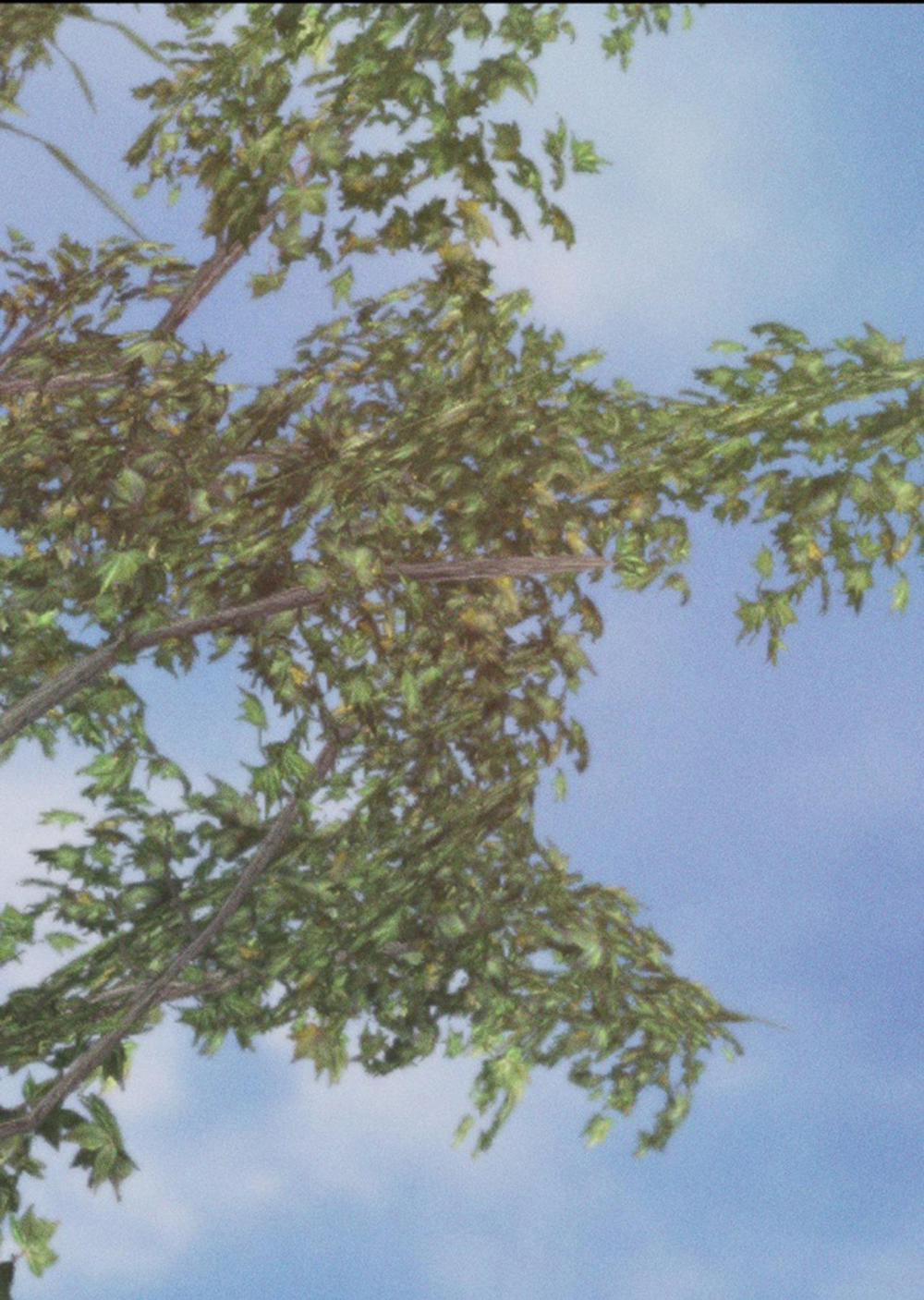 Chó Của Kẻ Khác 14 trang 15