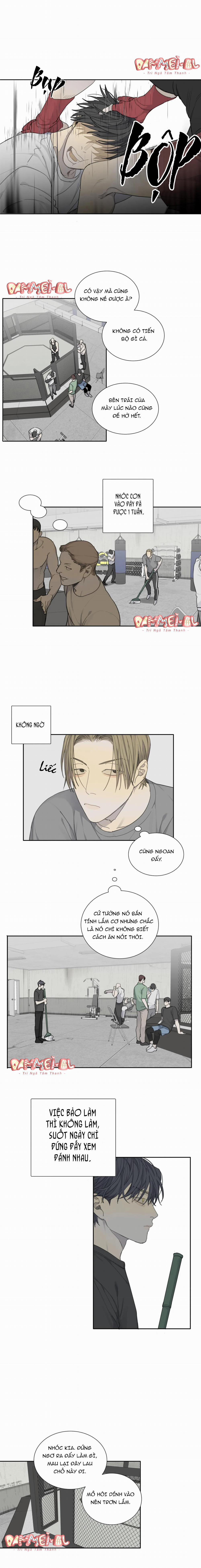 Chó Điên 19 trang 5