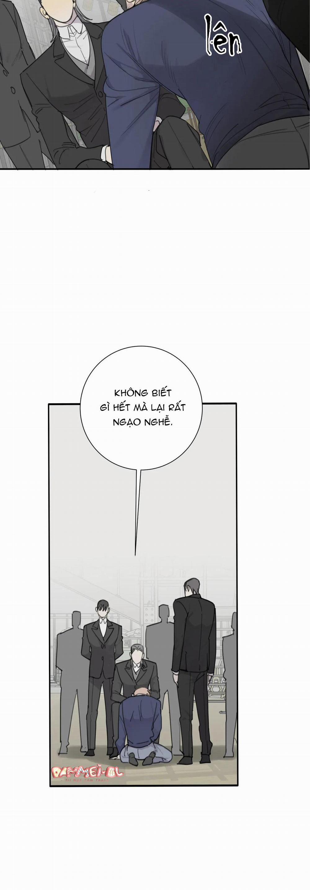 Chó Điên 38 trang 21