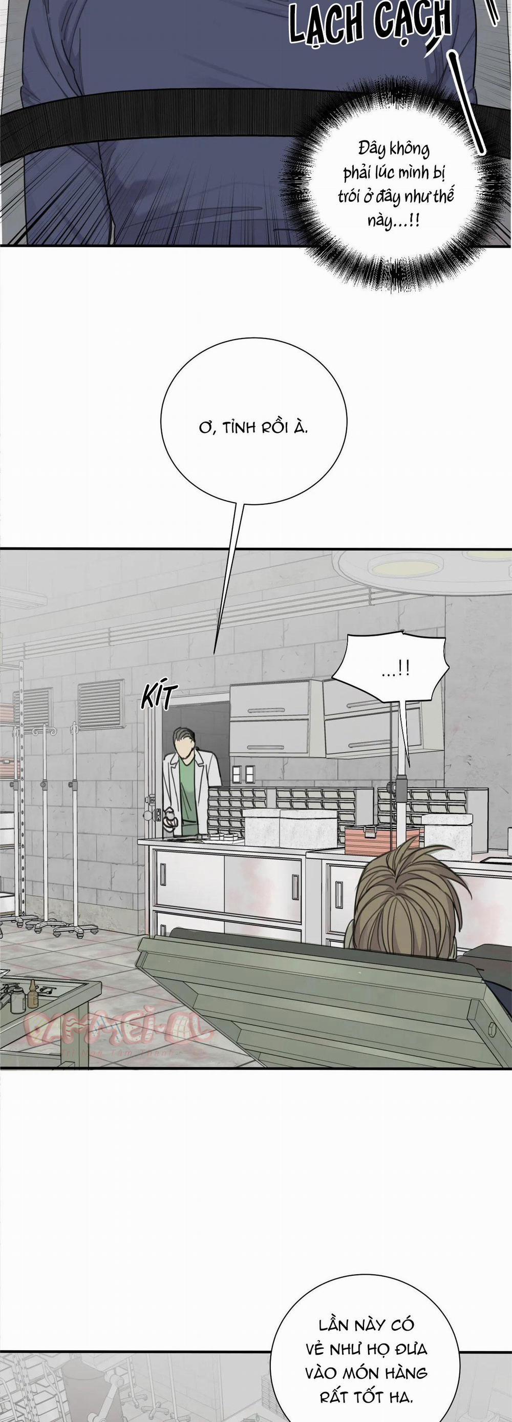 Chó Điên 39 trang 11