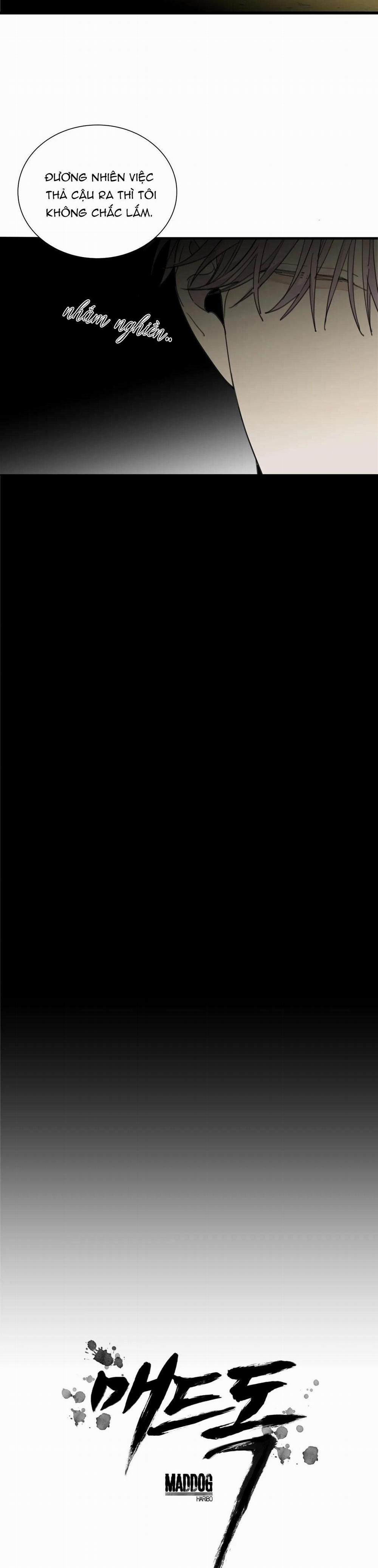 Chó Điên 39 trang 6