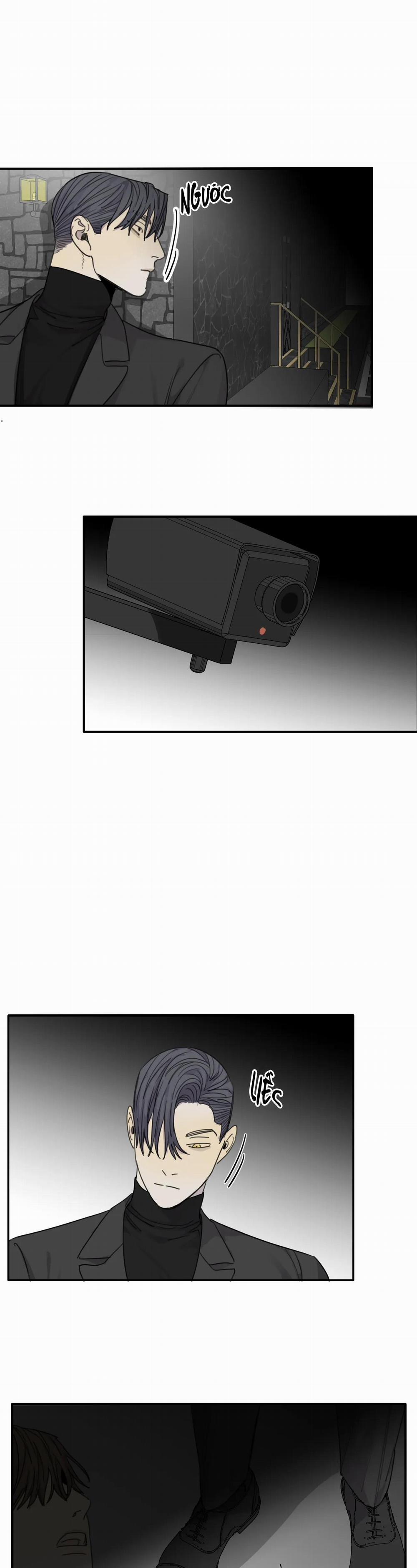 Chó Điên 43 trang 12