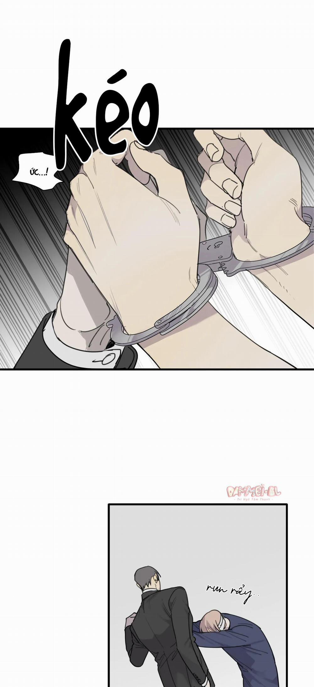 Chó Điên 43 trang 6