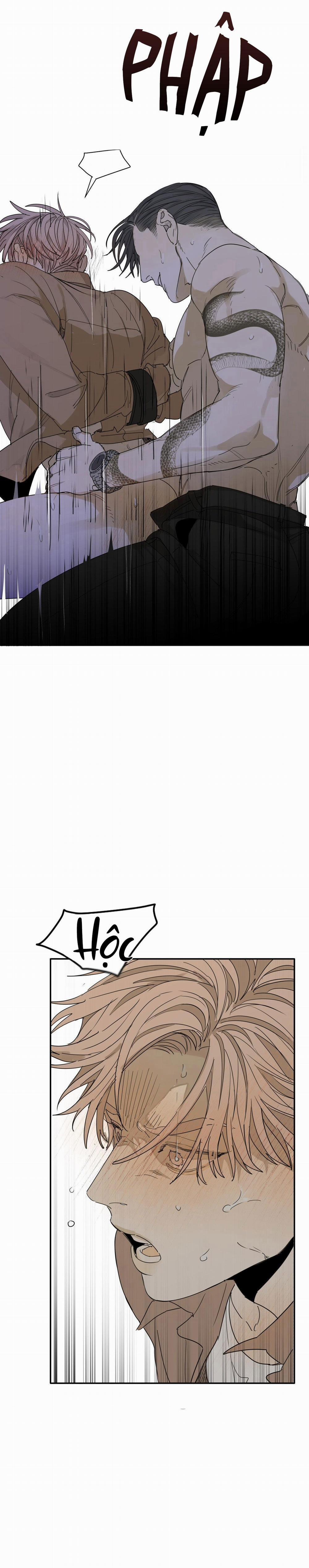 Chó Điên 54 trang 12