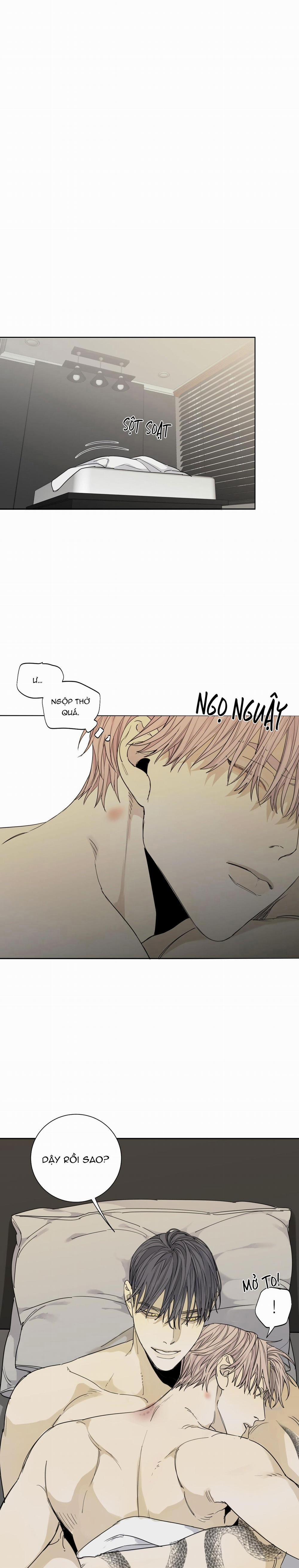 Chó Điên 55 NT4 (18+) trang 0