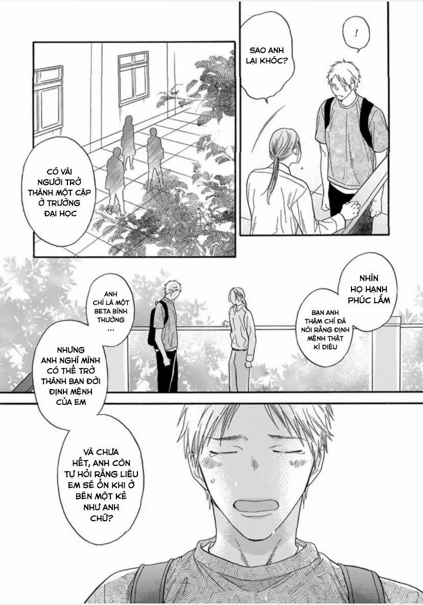 Cho Dù Không Là Định Mệnh 3 trang 17