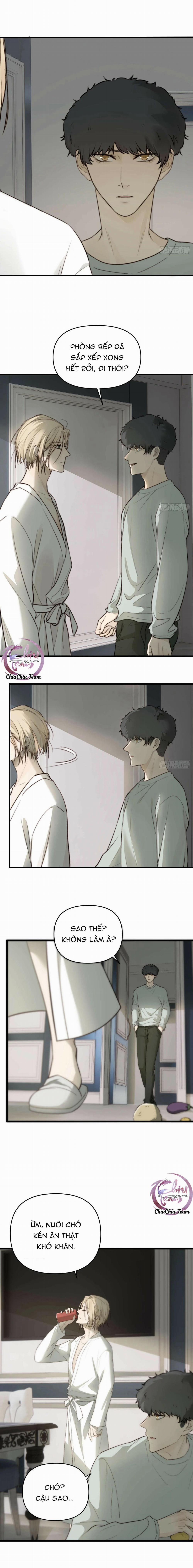 Chó Hư Khó Giữ 20 trang 4